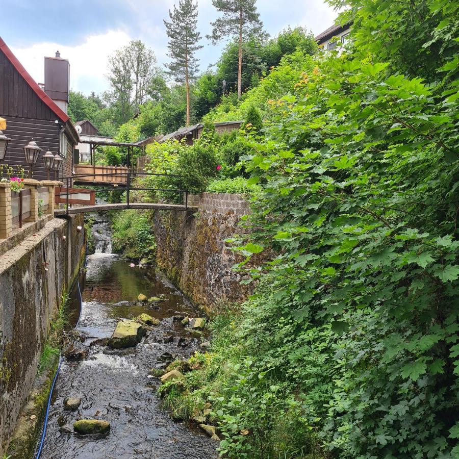 Harz Im Herzen ألتيناو المظهر الخارجي الصورة