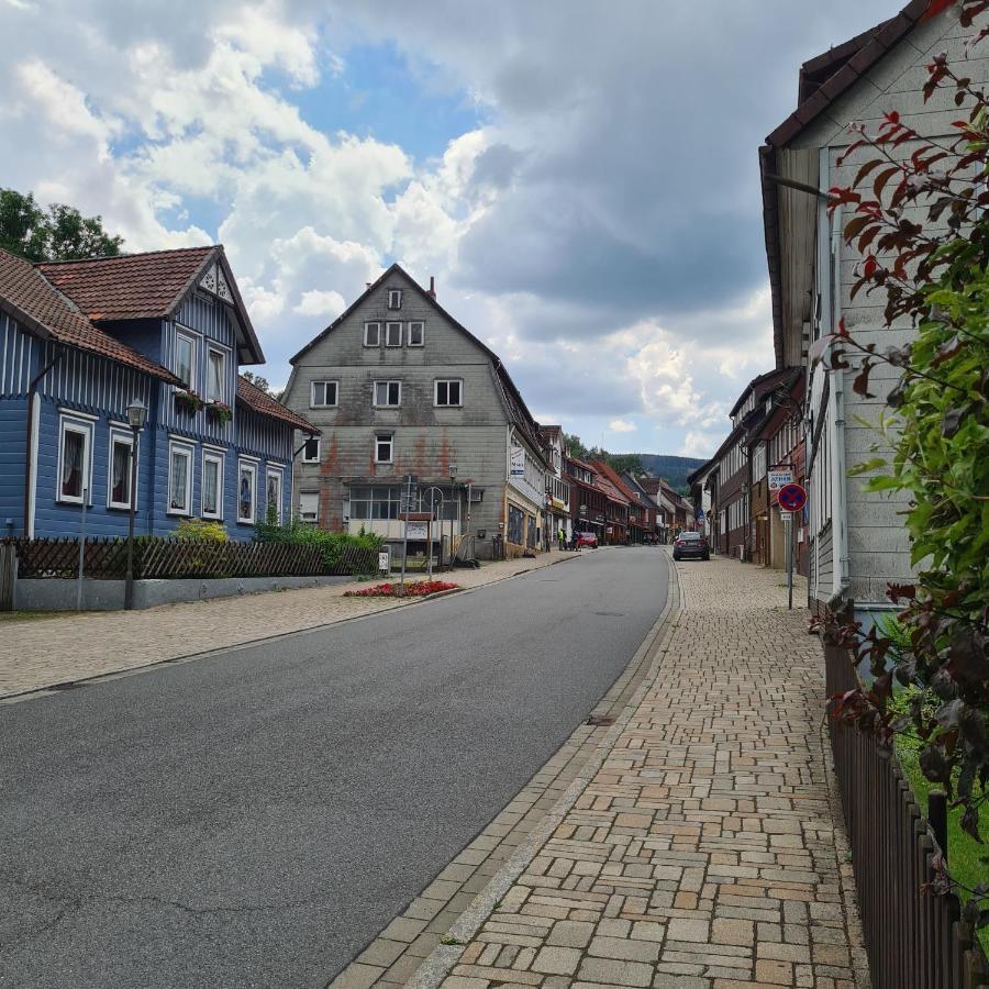Harz Im Herzen ألتيناو المظهر الخارجي الصورة